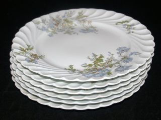 Set Of 6 Haviland Limoges Porcelain Margaux Pattern Salad Plates 7.  3/4 Inches