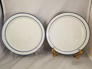 Set Of 2 Dansk Blue Mist 10 1/8 " Dinner Plates