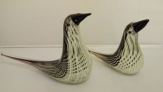 Vintage Murano Glass Black/white Striped Bird Figurines C - 1042 - My - W46