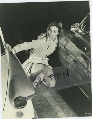 Sexy Raquel Welch In Flare Up Rare Photo
