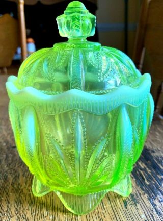 1959/60s Fenton Glass Cactus Line Topaz Opalescent - Sugar Bowl With Lid