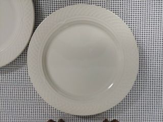 (4) Homer Laughlin Gothic Dinner Plates 10” Bone Ivory White Stoneware 4