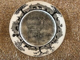Rare - Wedgwood Kruger National Park Impala - Plate 6 2/8 "