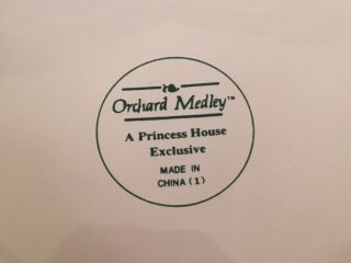 Princess House 219 Orchard Medley Ceramic Bowl.  NIB 3