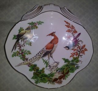 Williamsburg Mottahedeh Vista Alegre Chelsea Bird Shell Dish/bowl 8” Va