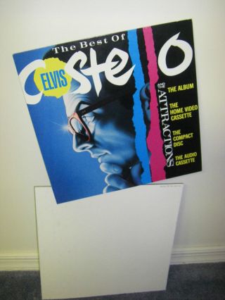 Elvis Costello Best Of Rare Promo Album Bin Divider Display