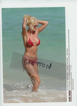 Sexy Busty Victoria Silvstedt In Bikini Rare Press Photo 2