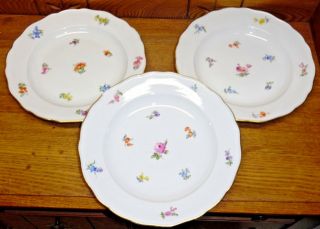Three Antique Meissen Porcelain Floral Plates / Low Rimmed Bowls - 9 7/8 " -