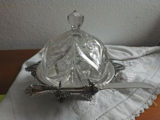 Antique Victorian Wm Rogers Eapg Dome Glass Butter Dish Silverplate Stand Daisy