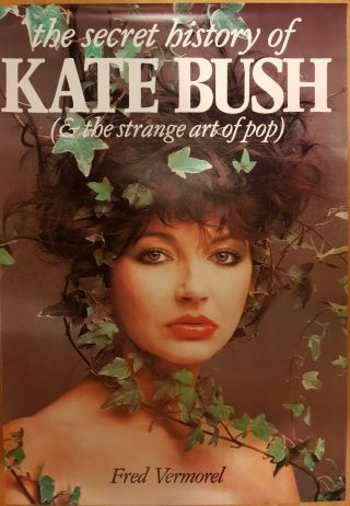Kate Bush Stunning 