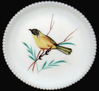 Vintage Westmoreland Milk Glass With Hp Yellow Warbler 7.  5 " D Beaded Edge Plate