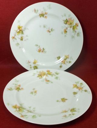 Haviland China Autumn Leaf France Dinner Plate Set Of Two (2) - 9 - 3/4 " - No Trim