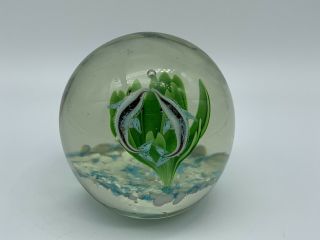 Two Dolphins Kissing Murano Style Art Glass Paperweight 3 In -