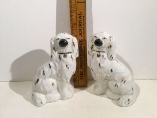 Antique 5 1/2” Staffordshire Dogs 3
