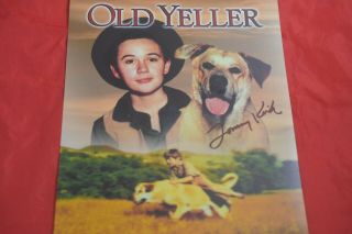 Tommy Kirk And Old Yeller,  Signed Photo,  8 " X 10 "
