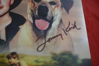 Tommy Kirk and Old Yeller,  signed photo,  8 