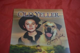 Tommy Kirk and Old Yeller,  signed photo,  8 