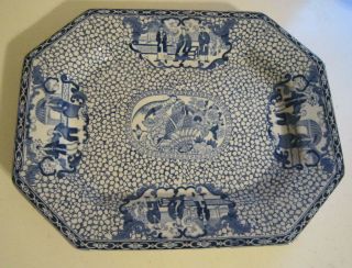 Blue And White Chinese Bird Serving Platter Adams England
