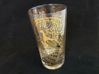 Rare Mid - Century Modern Tall Drinking Glasses Gold Peacocks Set Of 6 A21