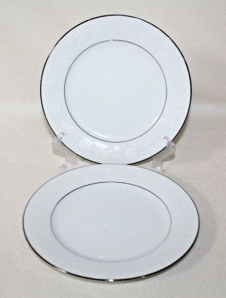 Stunning Noritake Ranier 2 “10.  5 " Dinner Plates” White On White Platinum Trim
