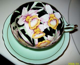 Gorgeous Paragon Tea Cup & Saucer Daffodil Black Chintz Purple Double Warrant