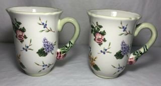 Princess House Exclusive Vintage Garden Mugs Set Of Two