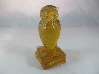Degenhart Owl - Persimmon Amber - 3 1/2 " Tall - Standing On Books