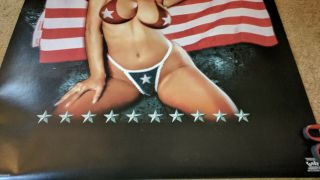 Lynyrd Skynyrd poster Girl by flag rebel 24x36 US OOP FUNKY stars & stripes 4