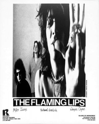 The Flaming Lips,  Six Different Flaming Lips Promo Photographs,  The Flaming Lips