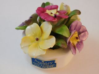 British Vintage Aynsley Floral Fine Bone China Flower Primrose Posy