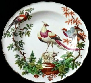 Mottahedeh Chelsea Birds Plate 8 ",  Williamsburg Restoration,  Fine Porcelain