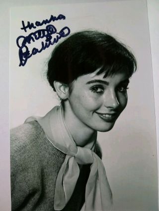 Millie Perkins Authentic Hand Signed 4x6 Photo - Famous Actress