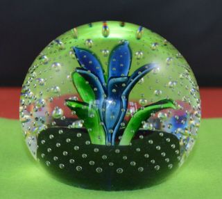 Caithness Glass Paperweight Flower In The Rain