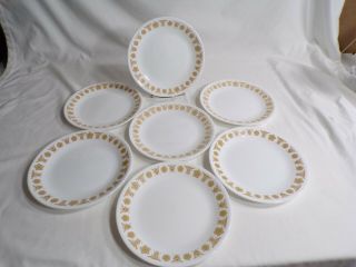 Set Of 7 Corelle By Corning,  Gold Butterfly 8 1/2 Inch Salad/ Lunch Plates