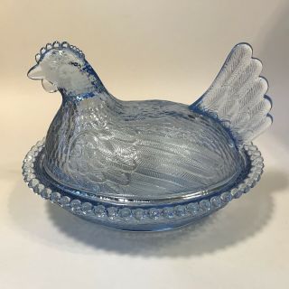 Indiana Hen On Nest - Blue