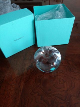 TIFFANY & CO.  CRYSTAL APPLE PAPERWEIGHT W/ BOX 2