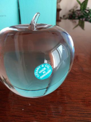TIFFANY & CO.  CRYSTAL APPLE PAPERWEIGHT W/ BOX 3