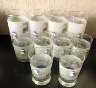 Set Of 10 Drinking Glasses Frosted With Bird Pinecone 6” Tall 3 3/4 “ Tall 4” T