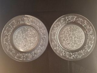 Set Of 2 Princess House Fantasia 10 " Dinner Plates