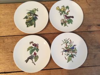 Limoges Gda Porcelain Bird Salad Plates Set Of 4 Gerard Dufraisseix Abbot France