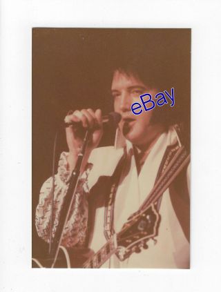 Elvis Presley Concert Photo V - Neck Suit 1976 - Jim Curtin Vintage Rare