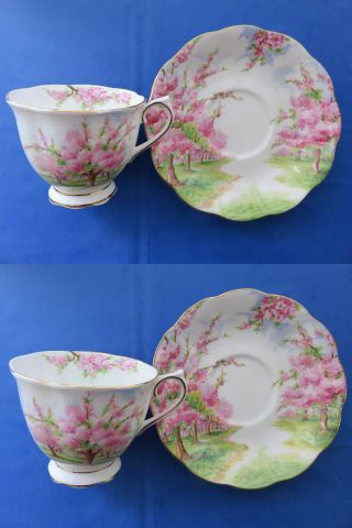 2 Vintage Uk Royal Albert Blossom Time Pattern Tea Cups & Saucers