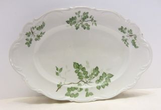 Vintage Mitterteich Bavaria Green Leaves Porcelain China 16 " Platter 026