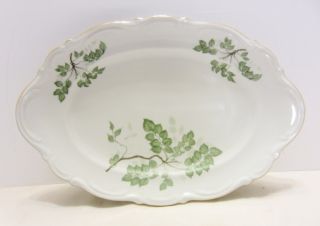Vintage Mitterteich Bavaria Green Leaves Porcelain China 12 " Platter 104