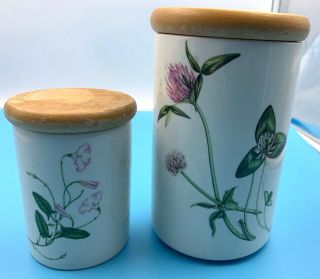 Vintage Portmeirion England Queens Hidden Gardens Canisters X 2 House Of Fraser