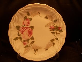 Wakbrzych,  10 1/4 Inch Dinner Plate,  Southington By Baum,  Briar Rose Made Poland