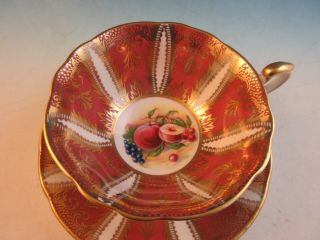Paragon Bone China Footed Cup & Saucer Rust and Gold Band Orchard Fruit 2