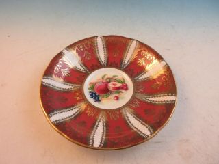 Paragon Bone China Footed Cup & Saucer Rust and Gold Band Orchard Fruit 3