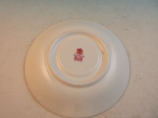 Paragon Bone China Footed Cup & Saucer Rust and Gold Band Orchard Fruit 7