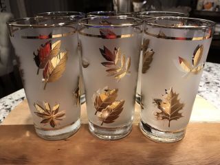 6 Vintage Mcm Libbey Frosted Clear Gold Leaf Glasses Mid - Century
